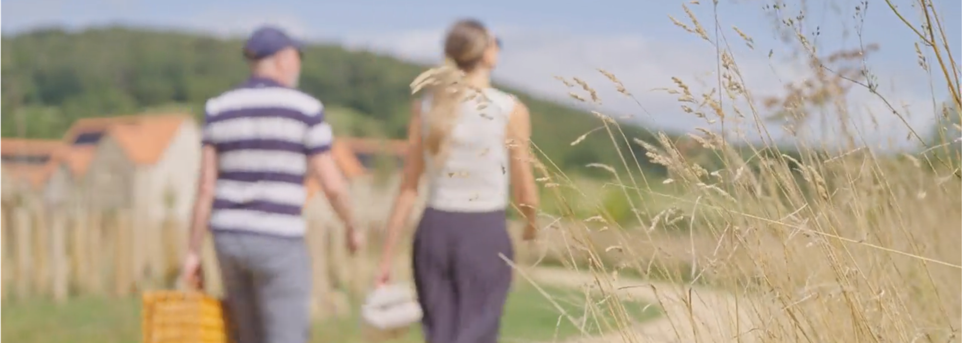 Lifestyle picnic banner