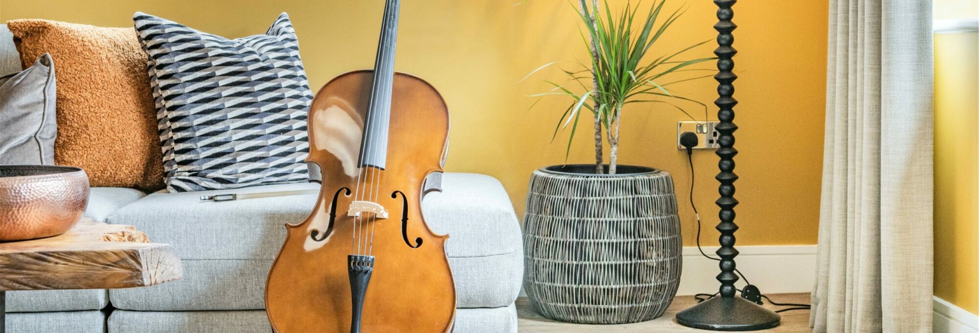 Cello in the lounge at Honey Glade